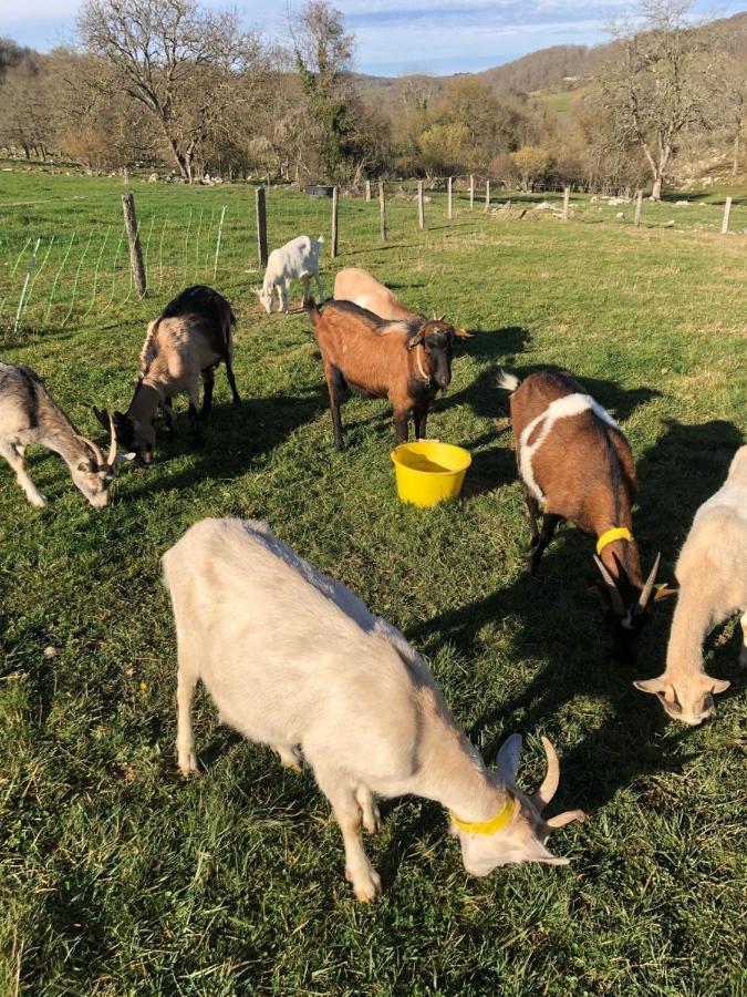 Gite A La Ferme Montesquieu-Avantes Exteriér fotografie